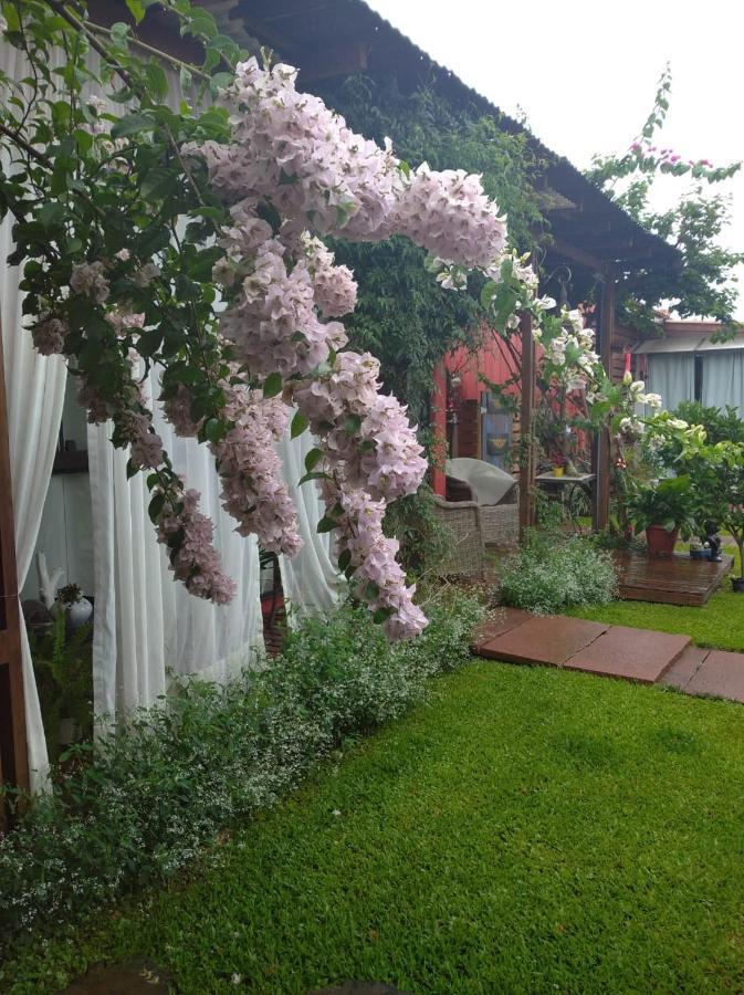 Pousada Charme E Estilo Nova Petropolis Dış mekan fotoğraf